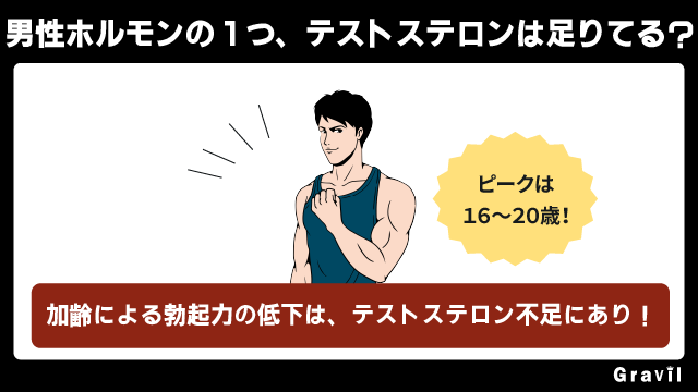 ちんこを硬くするにはテストステロンが必須